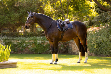 Buy LeMieux Loire Classic GP Square Dusk Blue | Online for Equine