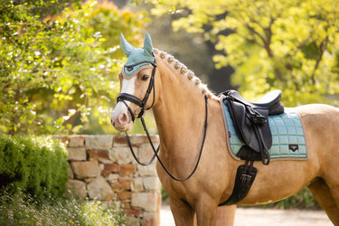 Buy LeMieux Loire Fly Hood Aqua | Online for Equine