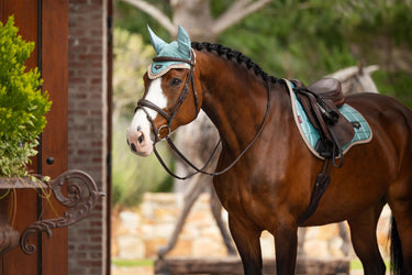 Buy LeMieux Loire Fly Hood Aqua | Online for Equine