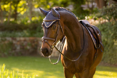 Buy LeMieux Loire Fly Hood Dusk Blue | Online for Equine