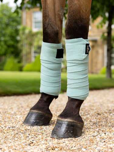 Buy LeMieux Polo Bandages Aqua | Online for Equine