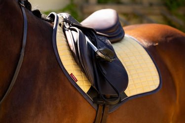 Buy LeMieux Suede Close Contact Square Mimosa | Online for Equine