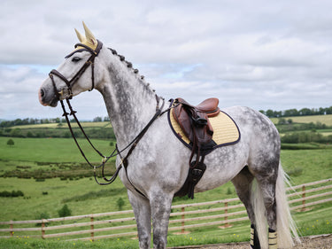 Buy LeMieux Suede Close Contact Square Mimosa | Online for Equine