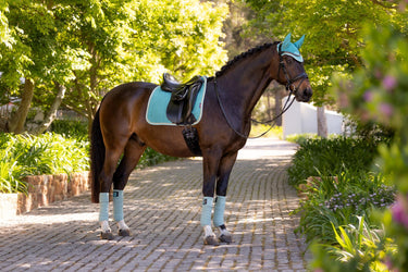 Buy LeMieux Suede Dressage Square Lagoon | Online for Equine