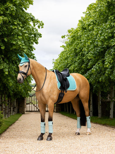 Buy LeMieux Suede Dressage Square Lagoon | Online for Equine