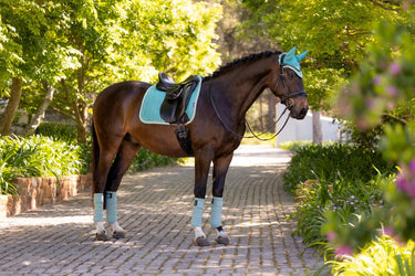 Buy LeMieux Suede Dressage Square Lagoon | Online for Equine