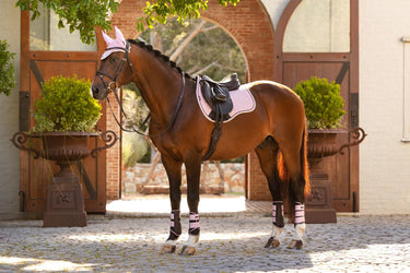 Buy LeMieux Suede GP Square Blossom | Online for Equine