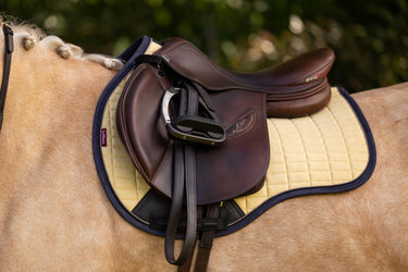 Buy LeMieux Suede GP Square Mimosa | Online for Equine