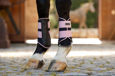 Buy LeMieux Grafter Brushing Boots Blossom | Online for Equine