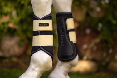 Buy LeMieux Mini Brushing Boots Mimosa | Online for Equine