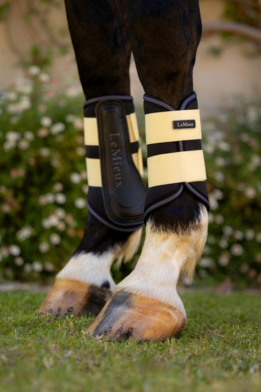 Buy LeMieux Mini Brushing Boots Mimosa | Online for Equine