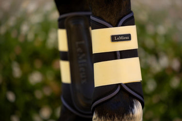 Buy LeMieux Mini Brushing Boots Mimosa | Online for Equine