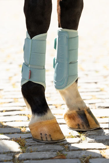 Buy LeMieux Arika Mesh Brushing Boots Aqua | Online for Equine