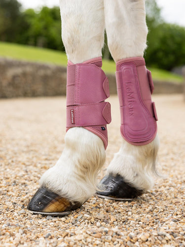 Buy LeMieux Arika Mesh Brushing Boots Peony | Online for Equine