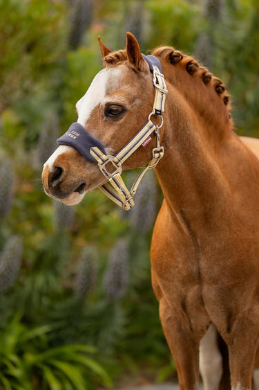 Buy LeMieux Mini Vogue Headcollar & Leadrope Dusk Blue | Online for Equine