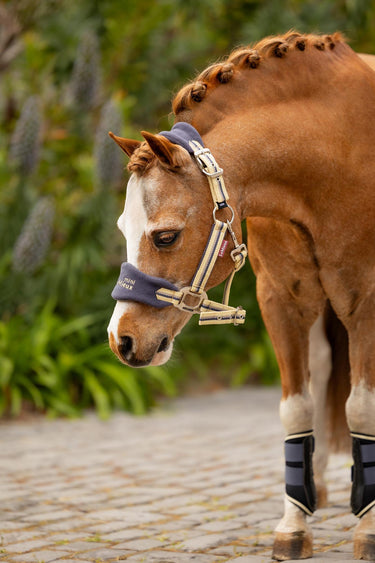 Buy LeMieux Mini Vogue Headcollar & Leadrope Dusk Blue | Online for Equine