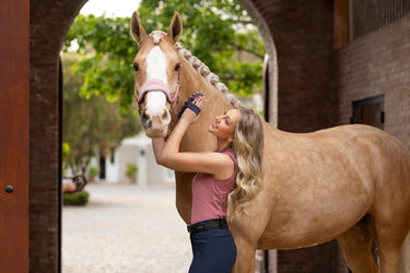 Buy LeMieux Vogue Headcollar & Leadrope Blossom | Online for Equine