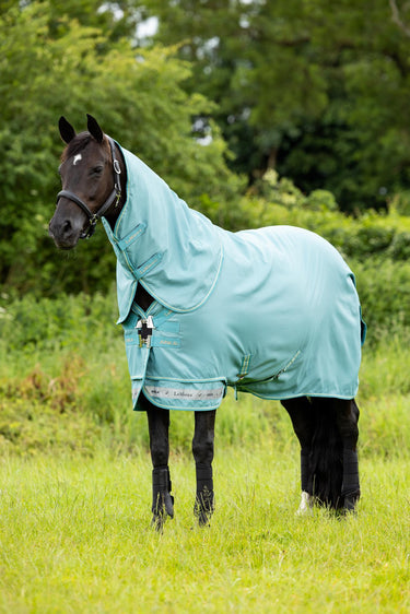 Buy LeMieux Arika Ripstop 50g Turnout Rug Lagoon | Online for Equine