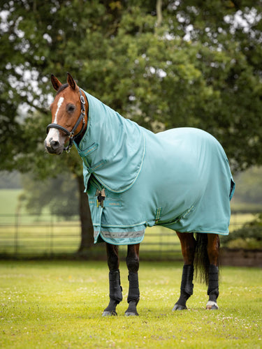 Buy LeMieux Arika Ripstop 50g Turnout Rug Lagoon | Online for Equine