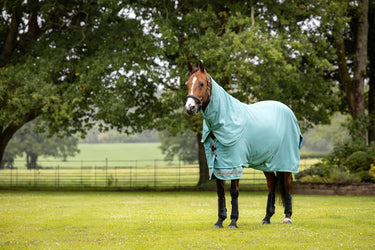 Buy LeMieux Arika Ripstop 50g Turnout Rug Lagoon | Online for Equine