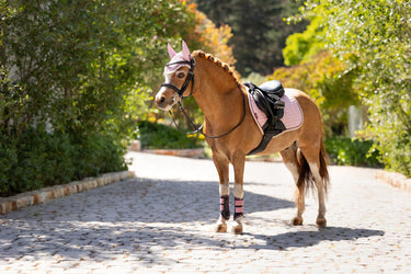 Buy LeMieux Mini Suede Close Contact Square Blossom | Online for Equine