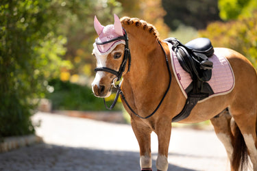 Buy LeMieux Mini Classic Fly Hood Blossom | Online for Equine