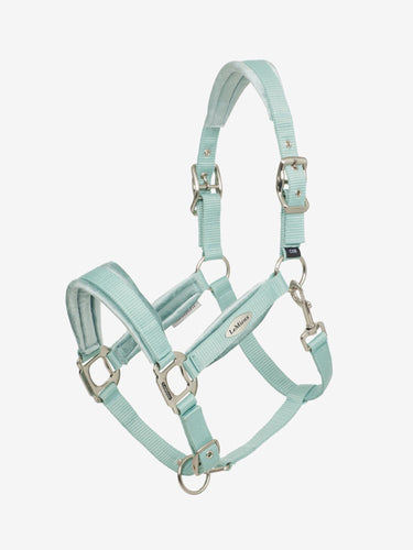 Buy LeMieux Versailles Headcollar Aqua | Online for Equine