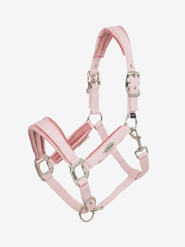 Buy LeMieux Versailles Headcollar Blossom | Online for Equine