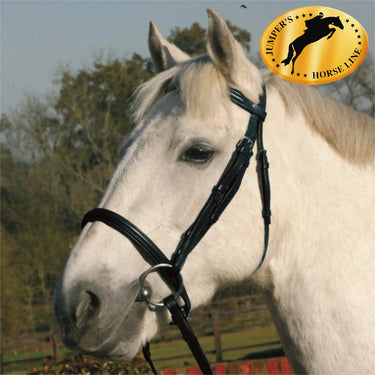 Buy JHL Black Raised Cavesson Bridle | Online for Equine