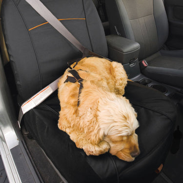 Buy Kurgo Co-Pilot Bucket Seat Cover | Online for Equine