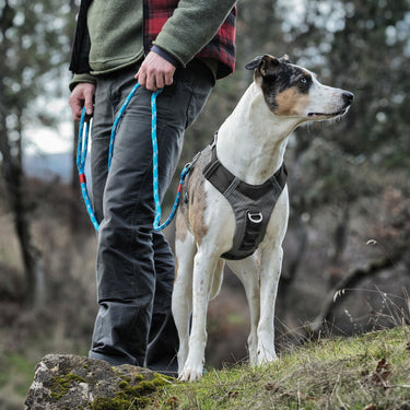 Kurgo Journey Air Harness Black/Gargoyle Grey