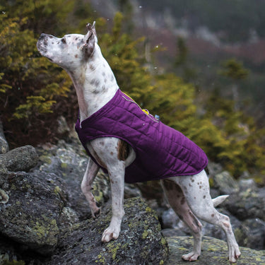 Buy Kurgo Loft Jacket Deep Violet/Grey | Online for Equine