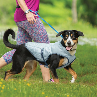 Buy Kurgo Core Cooling Vest Icy | Online for Equine