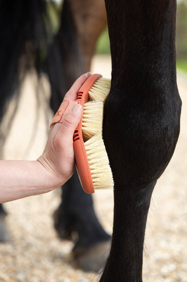 Buy LeMieux Apricot Flexi Scrubbing Brush| Online for Equine