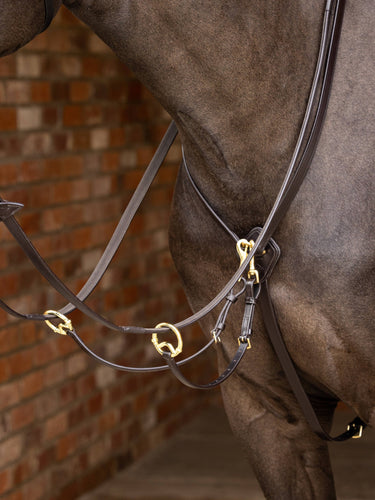 Buy LeMieux Kudos Brown / Brass Running Martingale | Online for Equine