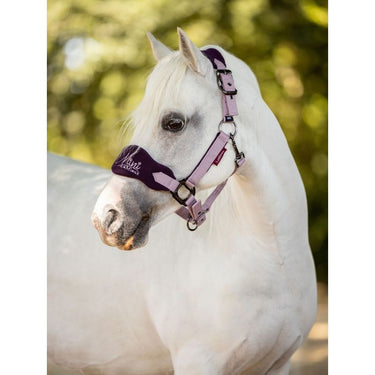 Buy Mini Le Mieux Vogue Fig Headcollar | Online for Equine