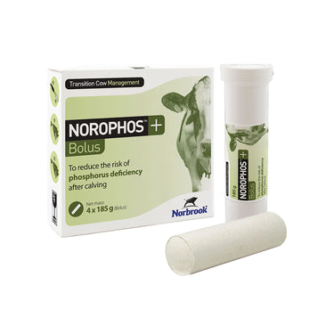 Buy Norbrook Norophos+ Bolus | Online for Equine