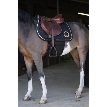 Buy Norton Body Shield Belly Band | Online for Equine