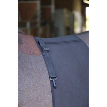 Buy Norton Body Shield Belly Band | Online for Equine