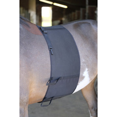 Buy Norton Body Shield Belly Band | Online for Equine