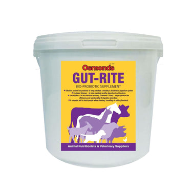 Buy Osmonds Gut-Rite | Online for Equine