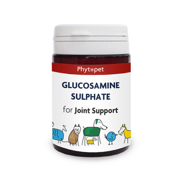 Buy Phytopet Glucosamine Sulphate 500Mg | Online for Equine