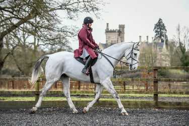 Buy the Equicoat Burgundy Adults Reincoat Lite | Online for Equine