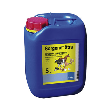 Buy Sorgene Xtra | Online for Equine