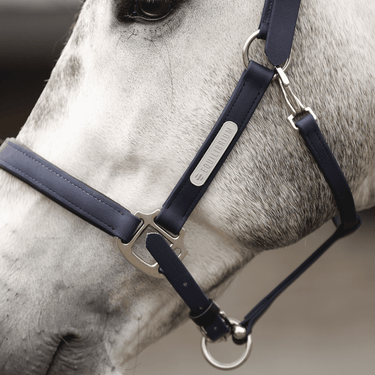 Buy the Equilibrium Navy New Stellar Safety Headcollar | Online for Equine