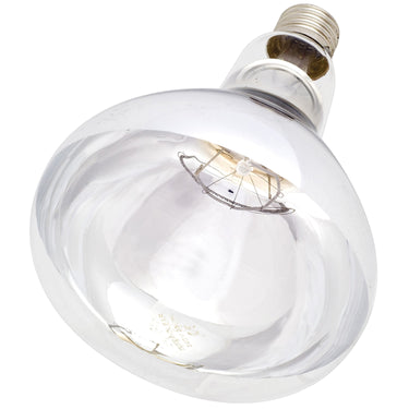 Buy Intelec Hard Glass Infra-Red Heat Bulb 250W | Online for Equine