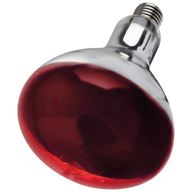 Buy Intelec Hard Glass Infra-Red Heat Bulb 250W | Online for Equine