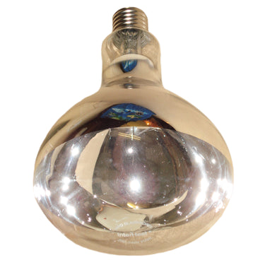 Buy Intelec Hard Glass Infra-Red Heat Bulb Clear | Online for Equine