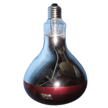 Buy Intelec Hard Glass Infra-Red Heat Bulb Ruby | Online for Equine