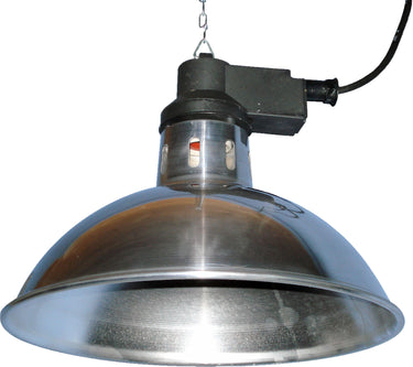 Buy Intelec Trad Infra-Red Heat Lamp 8" Shade | Online for Equine